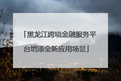 黑龙江跨境金融服务平台增添全新应用场景