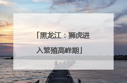黑龙江：狮虎进入繁殖高峰期