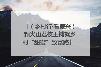 （乡村行·看振兴）一颗火山荔枝王铺就乡村“甜蜜”致富路