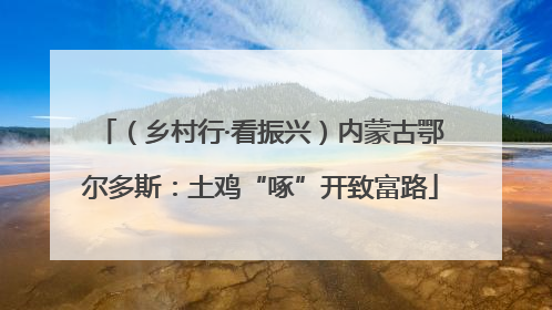 （乡村行·看振兴）内蒙古鄂尔多斯：土鸡“啄”开致富路