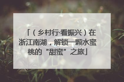 （乡村行·看振兴）在浙江南湖，解锁一颗水蜜桃的“甜蜜”之旅