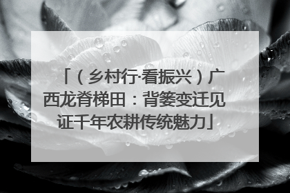（乡村行·看振兴）广西龙脊梯田：背篓变迁见证千年农耕传统魅力