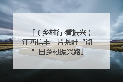 （乡村行·看振兴）江西信丰一片茶叶“沏”出乡村振兴路