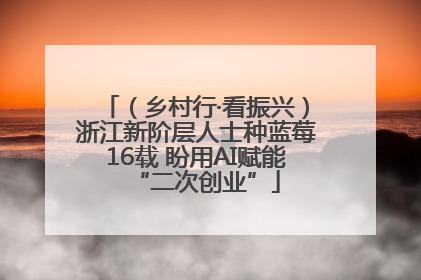 （乡村行·看振兴）浙江新阶层人士种蓝莓16载 盼用AI赋能“二次创业”
