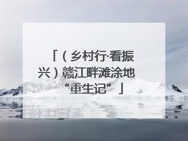 （乡村行·看振兴）赣江畔滩涂地“重生记”