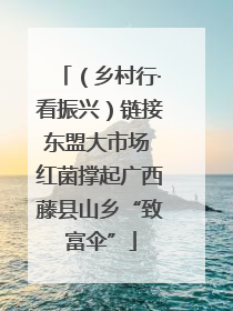 （乡村行·看振兴）链接东盟大市场 红菌撑起广西藤县山乡“致富伞”