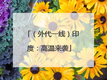 （外代一线）印度：高温来袭