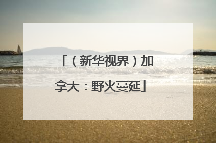 （新华视界）加拿大：野火蔓延