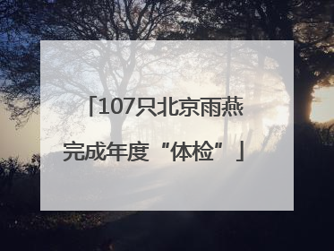 107只北京雨燕完成年度“体检”