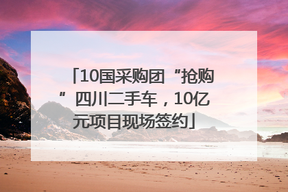 10国采购团“抢购”四川二手车，10亿元项目现场签约