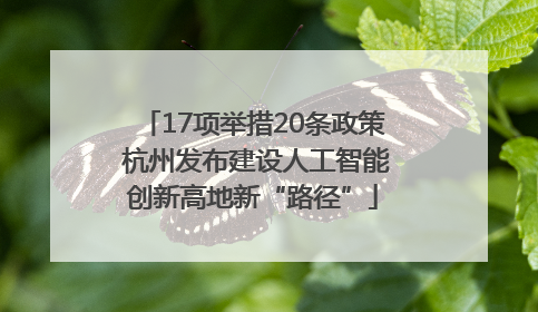 17项举措20条政策 杭州发布建设人工智能创新高地新“路径”