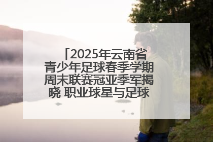 2025年云南省青少年足球春季学期周末联赛冠亚季军揭晓 职业球星与足球小将共享荣耀时刻