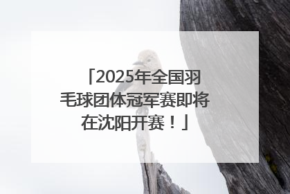 2025年全国羽毛球团体冠军赛即将在沈阳开赛！