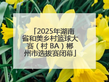 2025年湖南省和美乡村篮球大赛（村 BA）郴州市选拔赛闭幕