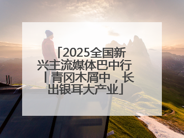 2025全国新兴主流媒体巴中行丨青冈木屑中，长出银耳大产业