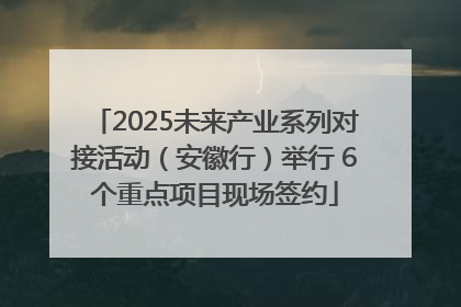 2025未来产业系列对接活动（安徽行）举行 6个重点项目现场签约