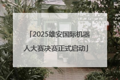 2025雄安国际机器人大赛决赛正式启动