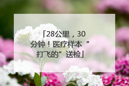 28公里，30分钟！医疗样本“打飞的”送检