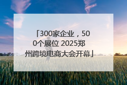 300家企业，500个展位 2025郑州跨境电商大会开幕
