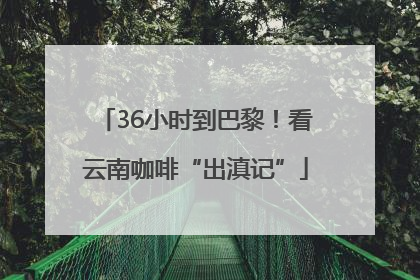 36小时到巴黎！看云南咖啡“出滇记”