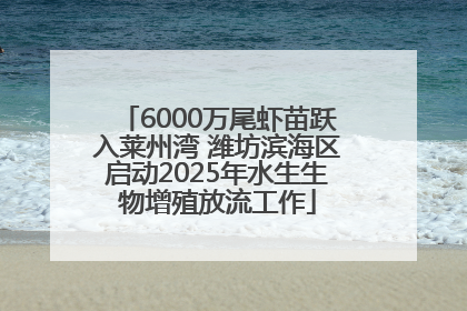 6000万尾虾苗跃入莱州湾 潍坊滨海区启动2025年水生生物增殖放流工作