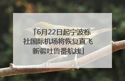 6月22日起宁波栎社国际机场将恢复直飞新疆吐鲁番航线