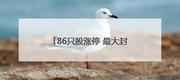 86只股涨停 最大封单资金4.03亿元