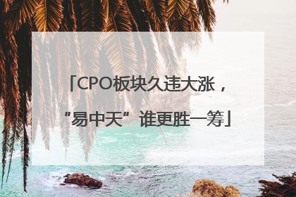 CPO板块久违大涨，“易中天”谁更胜一筹