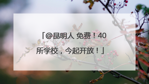 @昆明人 免费！40所学校，今起开放！