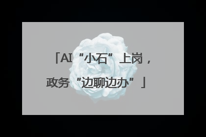 AI“小石”上岗，政务“边聊边办”
